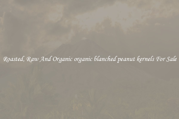 Roasted, Raw And Organic organic blanched peanut kernels For Sale