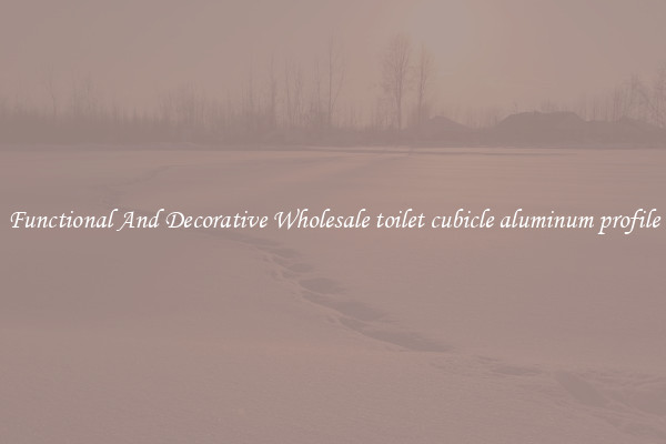 Functional And Decorative Wholesale toilet cubicle aluminum profile
