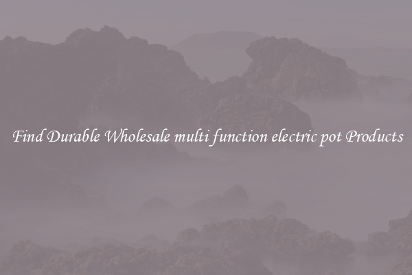 Find Durable Wholesale multi function electric pot Products