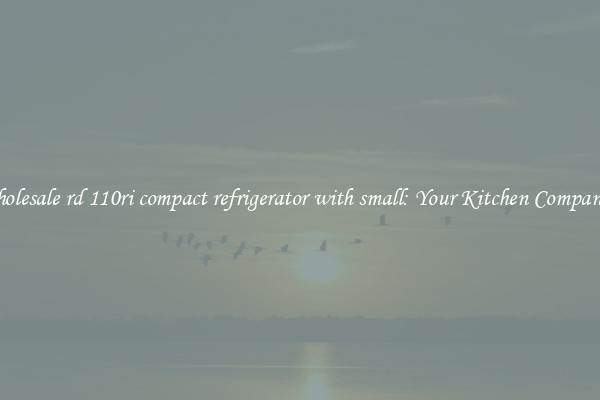 Wholesale rd 110ri compact refrigerator with small: Your Kitchen Companion