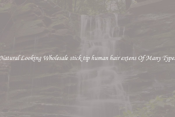 Natural Looking Wholesale stick tip human hair extens Of Many Types