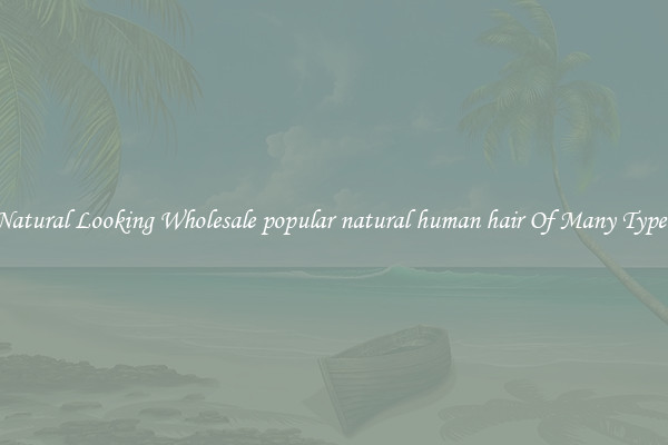 Natural Looking Wholesale popular natural human hair Of Many Types