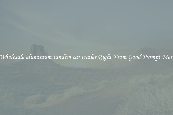 Grab Wholesale aluminium tandem car trailer Right From Good Prompt Merchants