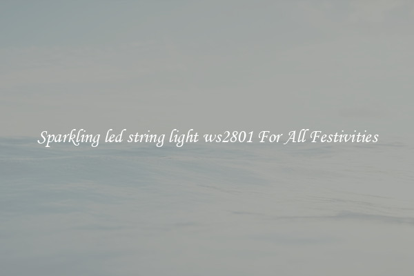 Sparkling led string light ws2801 For All Festivities