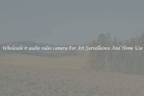 Wholesale ir audio video camera For Art Survellaince And Home Use