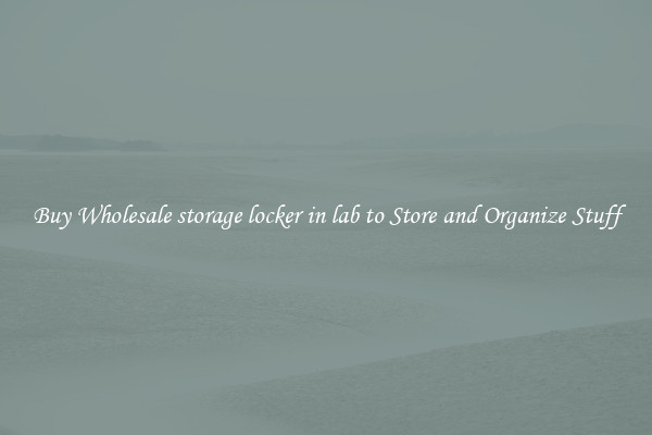 Buy Wholesale storage locker in lab to Store and Organize Stuff
