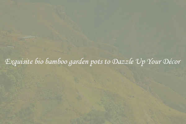 Exquisite bio bamboo garden pots to Dazzle Up Your Décor 