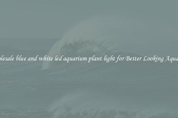 Wholesale blue and white led aquarium plant light for Better Looking Aquarium