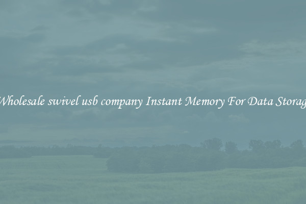 Wholesale swivel usb company Instant Memory For Data Storage