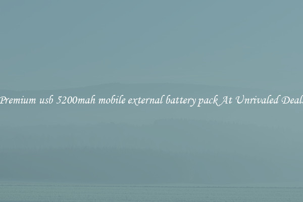 Premium usb 5200mah mobile external battery pack At Unrivaled Deals