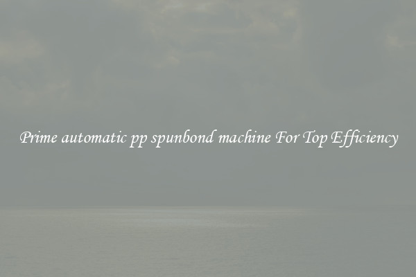 Prime automatic pp spunbond machine For Top Efficiency