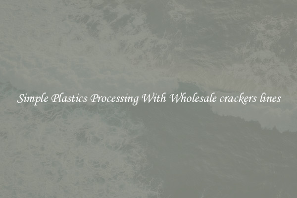 Simple Plastics Processing With Wholesale crackers lines