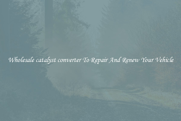 Wholesale catalyst converter To Repair And Renew Your Vehicle