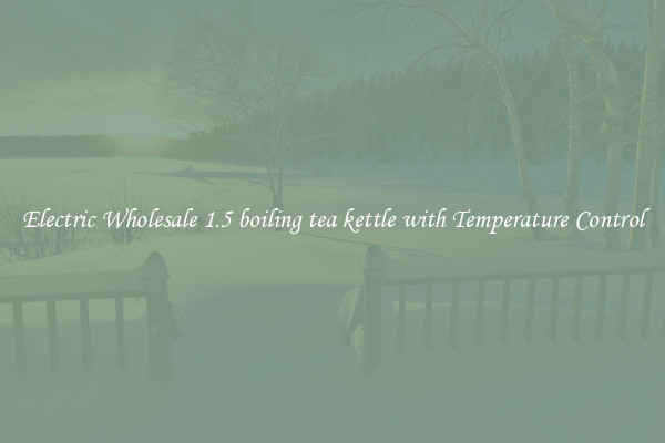 Electric Wholesale 1.5 boiling tea kettle with Temperature Control