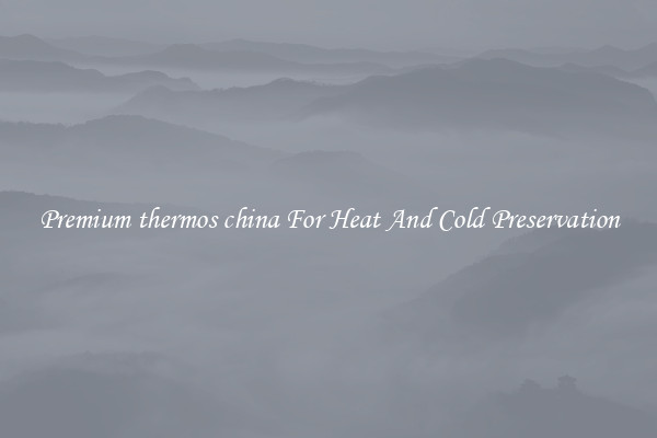 Premium thermos china For Heat And Cold Preservation