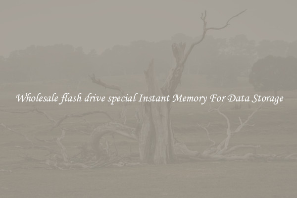Wholesale flash drive special Instant Memory For Data Storage