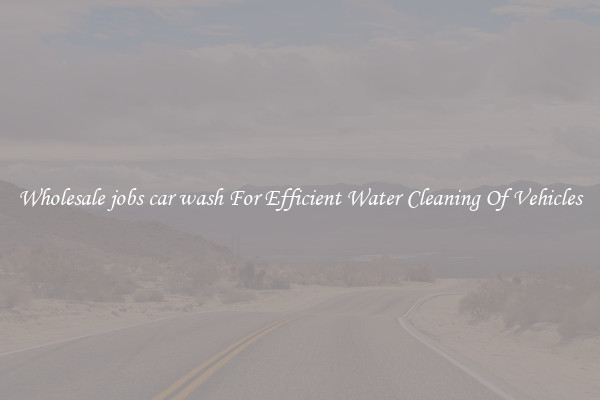 Wholesale jobs car wash For Efficient Water Cleaning Of Vehicles